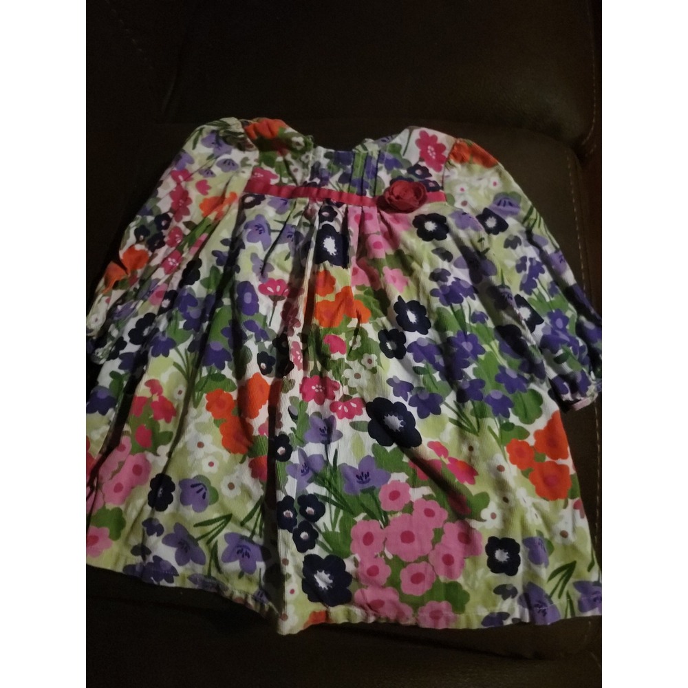 Gymboree stylish corgi floral cord dress size 18 24 months‎